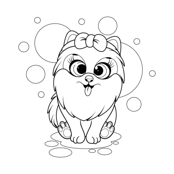 Página Para Colorir Cão Bonito Dos Desenhos Animados Spitz Pomeranian —  Vetores de Stock