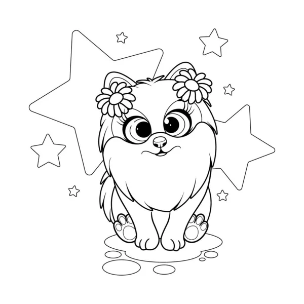 Χρωματισμός Σελίδας Μικρό Σκυλί Pomeranian Σπιτζ Λουλούδια Στο Κεφάλι — Διανυσματικό Αρχείο