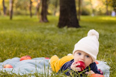 Yüksek sandalye yeme elma meyve içinde oturan sevimli sevimli gülümseyen gülen beyaz çocuk kız çocuk portresi. Günlük yaşam tarzı. Gerçek otantik tatlı ev an