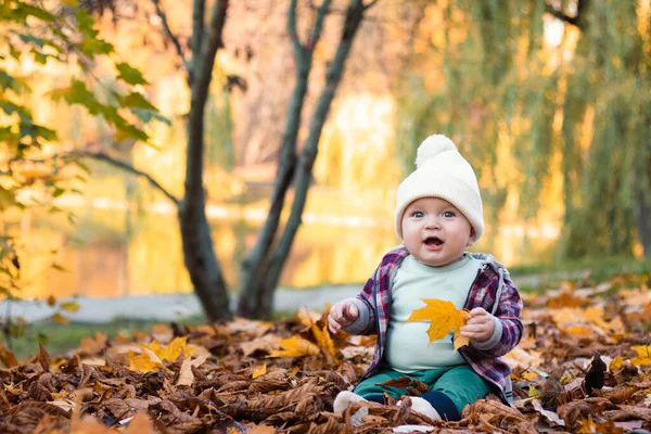 Küçük sevimli erkek bebek sonbahar zamanı parkta eğleniyor. Yüksek kalite fotoğraf