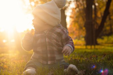 Küçük sevimli erkek bebek sonbahar zamanı parkta eğleniyor. Yüksek kalite fotoğraf