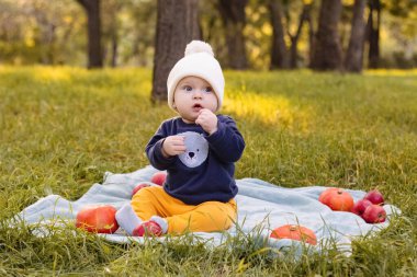 Puff ball şapkalı şirin bir kız çocuğu parkta yerde oturmuş, elinde bir balkabağı, gülümsüyor ve oynuyor. Mutlu çocukluk kavramı. Kameraya bakıyorum. Yüksek kalite fotoğraf