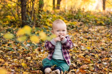 Küçük sevimli erkek bebek sonbahar zamanı parkta eğleniyor. Yüksek kalite fotoğraf