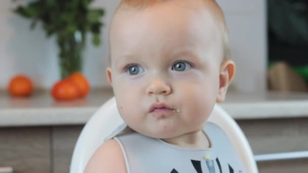 自宅で赤ちゃんを食べる肖像画 健康食品 昼食時間 — ストック動画