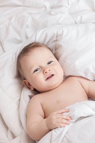 stock image baby on a white blanket in a diaper. High quality photo