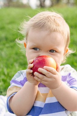 Güzel bahçede olgun kırmızı elma yiyen tatlı küçük bir çocuk. Çocukluk kavramı