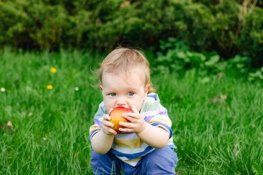 Güzel bahçede olgun kırmızı elma yiyen tatlı küçük bir çocuk. Çocukluk kavramı