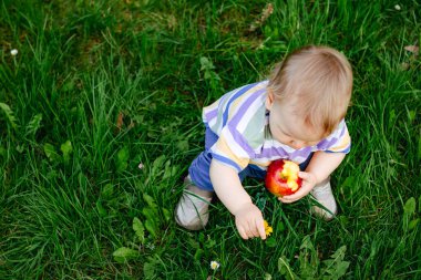 Güzel bahçede olgun kırmızı elma yiyen tatlı küçük bir çocuk. Çocukluk kavramı