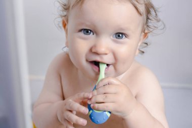 Kıvırcık sarı saçlı, gülen çocuğun portresi dişlerini fırçalayan, gri arka planda diş hijyeniyle ilgilenen