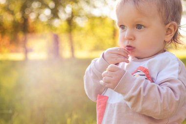 Tatlı bir çocuğun sonbahar portresi. Yüksek kalite fotoğraf