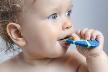 Kıvırcık sarı saçlı, gülen çocuğun portresi dişlerini fırçalayan, gri arka planda diş hijyeniyle ilgilenen