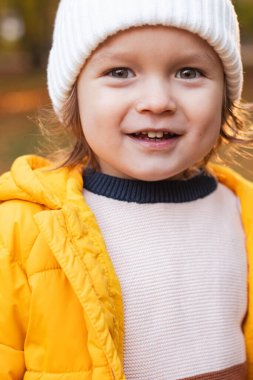 Güneşli bir sonbahar gününde küçük sevimli bir çocuk. Doğayı keşfeden çocuk. Küçük çocuklar için sonbahar aktiviteleri. Yüksek kalite fotoğraf