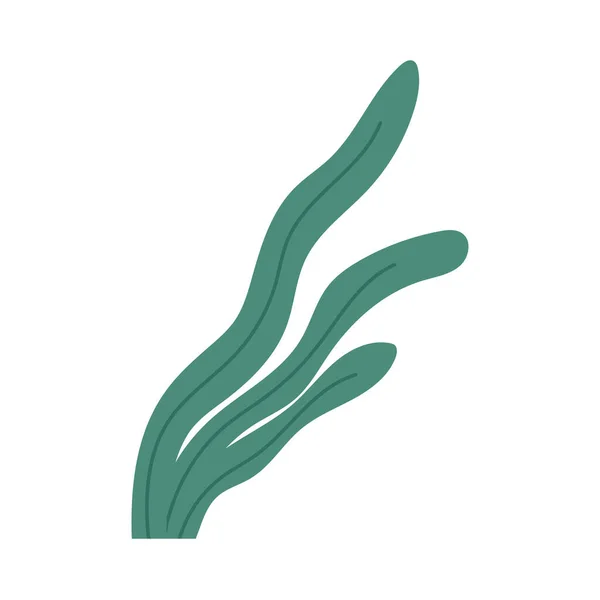 手描きの海藻や植物 白い背景に隔離された漫画のフラットベクトルイラスト 水中植物 藻類またはラミナリア 植物の緑のデザイン要素 — ストックベクタ