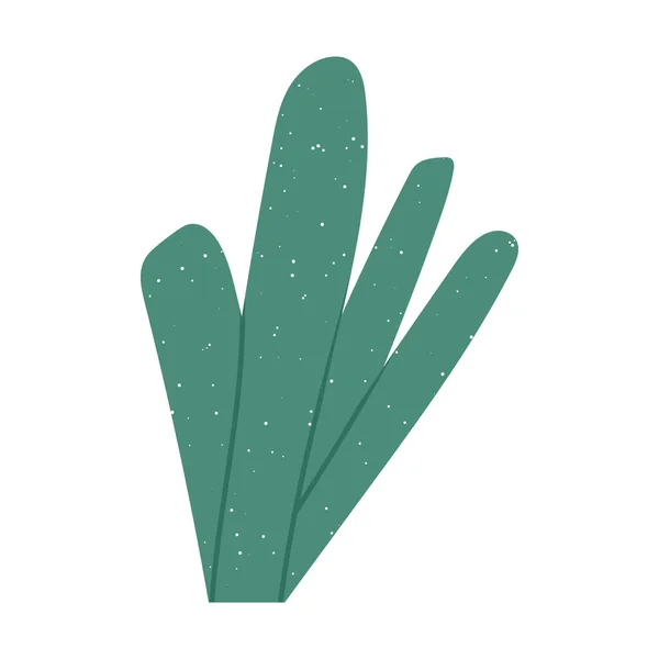 手描きの海藻 植物やサンゴの質感 白い背景に隔離された漫画のフラットベクトルイラスト 植物要素図面 — ストックベクタ