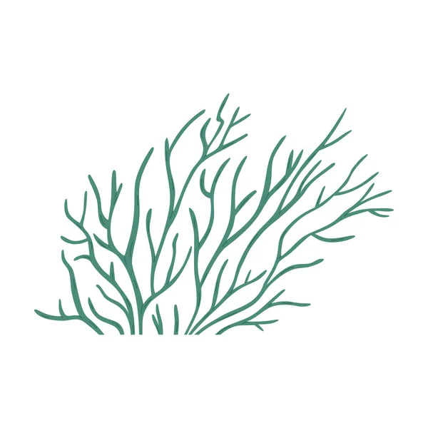 手绘海藻或珊瑚礁元素 卡通平面矢量图以白色背景隔离 有叶子的绿色植物 海底绘图 — 图库矢量图片