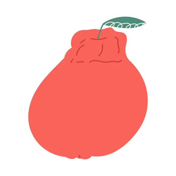Frutto Mandarino Dekopon Disegno Mano Del Vettore Piatto Del Fumetto — Vettoriale Stock