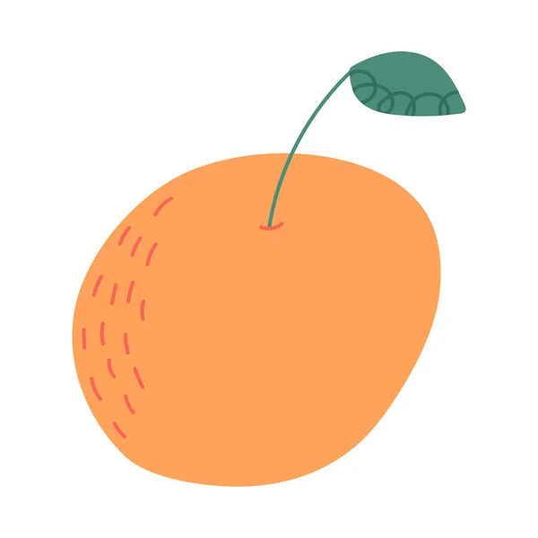 Agrumi Mandarini Arancioni Illustrazione Vettoriale Del Cartone Animato Disegnata Mano — Vettoriale Stock