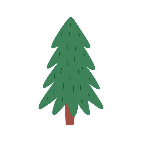 Hand Drawn Fir Tree Cute Flat Vector Illustration Isolated White — Stock Vector
