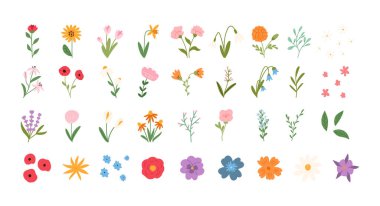 El çizimi çiçekler şirin düz çizgi film tarzında, vektör çizimi beyaz arkaplanda izole edilmiş. Bahar ve yaz çiçekleri. Bahçe işleri ve doğa kavramları.. 