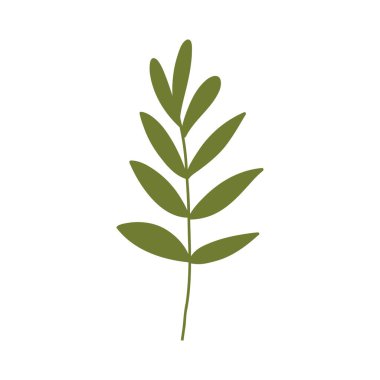 Yeşil yapraklı şirin bir el çizimi dalı, beyaz arkaplanda izole edilmiş çizgi film düz vektör çizimi. Bitki çizimi, botanik elementi.