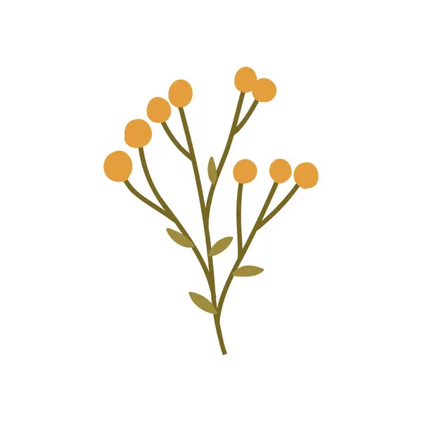 Handgezeichnete Herbstpflanze Cartoon Flachvektorillustration Isoliert Auf Weißem Hintergrund Niedliche Vogelbeerenblüte Vektorgrafiken