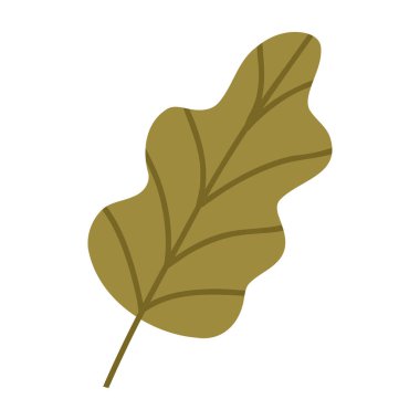 Güzel el çizimi sonbahar yaprağı, beyaz arkaplanda izole edilmiş çizgi film düz vektör çizimi. Basit yeşil sonbahar yaprağı, doğa tasarım elementi.