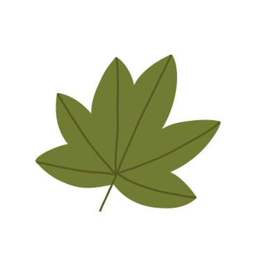 Güzel el çizimi sonbahar yaprağı, beyaz arkaplanda izole edilmiş çizgi film düz vektör çizimi. Basit yeşil sonbahar yaprağı, doğa tasarım elementi.