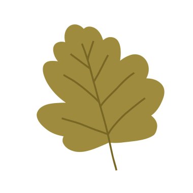 Güzel el çizimi sonbahar yaprağı, beyaz arkaplanda izole edilmiş çizgi film düz vektör çizimi. Basit yeşil sonbahar yaprağı, doğa tasarım elementi.