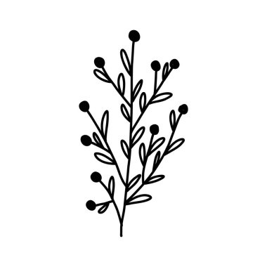 El yapımı kış bitkisi. Yapraklar ve böğürtlenler şirin karalama tarzında. Beyaz arka planda izole edilmiş vektör çizimi. Çiçekli Noel süslemesi çizimi.