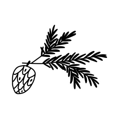 El çizimi çam kozalağı, tatlı karalama tarzında, vektör çizimi beyaz arkaplanda izole edilmiş. Kış botaniği ve Noel dekorasyon elementi.