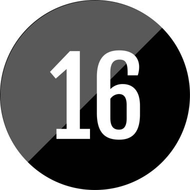 Number 16 icon. flat vector illustration