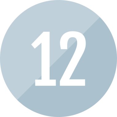 number 12 icon. flat vector illustration            