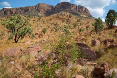 Beautiful landscape of african savanna with mountain hills