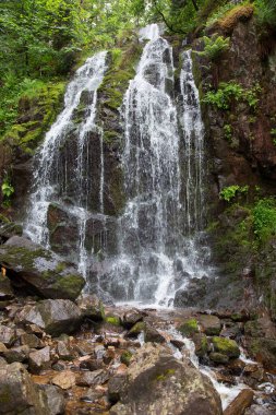 dağ orman içinde güzel şelale