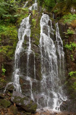 dağ orman içinde güzel şelale