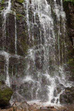 dağ orman içinde güzel şelale