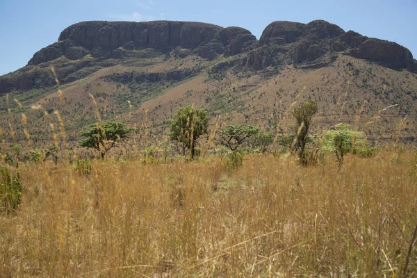 Beautiful landscape of african savanna with mountain hills