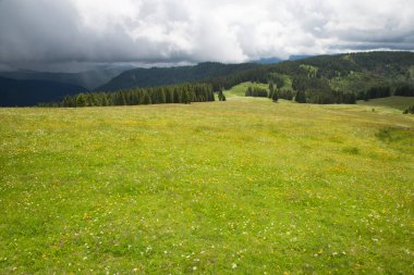 Beautiful mountian landscape in daytime