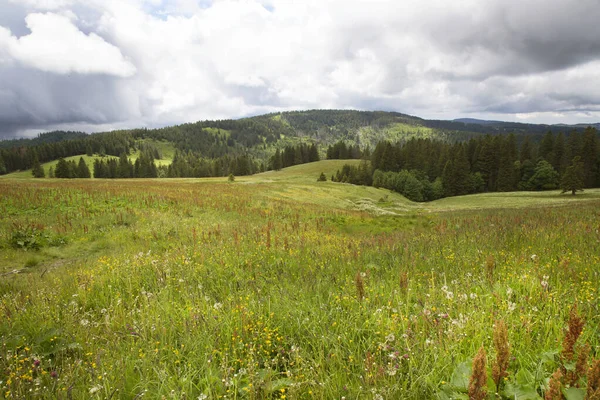 Beautiful Mountian Landscape Daytime — Stok fotoğraf