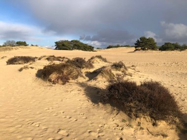 Güzel kum tepecikleri manzarası