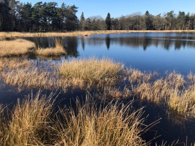 Güneşli bir günde göl veya nehirle güzel bir manzara.
