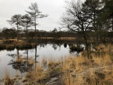 Nehir ve ağaçlarla dolu güzel sonbahar manzarası