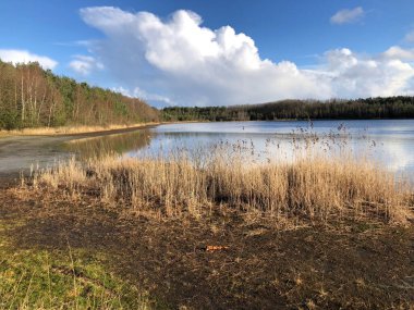 Nehir ve ormanlı güzel sonbahar manzarası