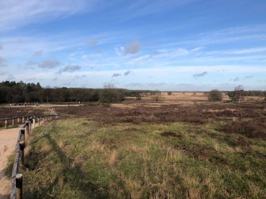 Yol yolu olan güzel bir manzara