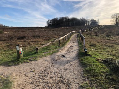 Yol yolu olan güzel bir manzara