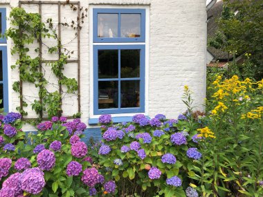 Bahçesinde çiçekler olan güzel bir Flaman evi