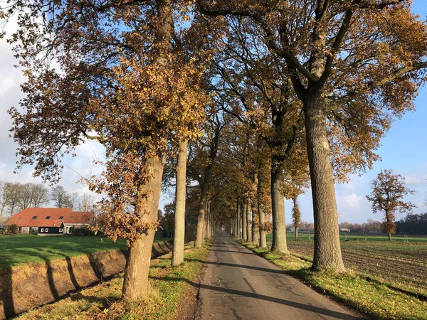 Road Countryside Autumn Day — Stock Photo, Image
