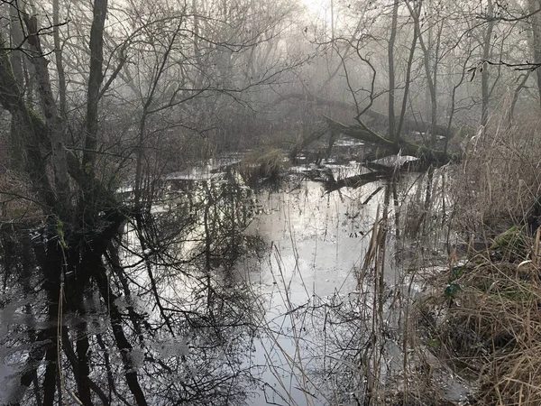 霧の朝の川で美しい風景 — ストック写真