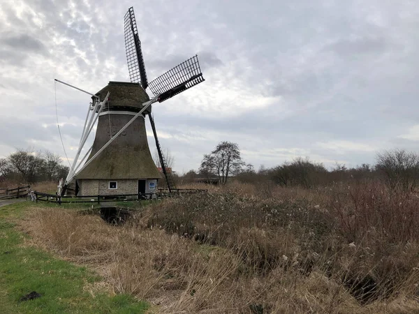 네덜란드의 아름다운 — 스톡 사진