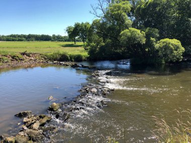 Nehir, çayır ve ormanla güzel bir manzara.